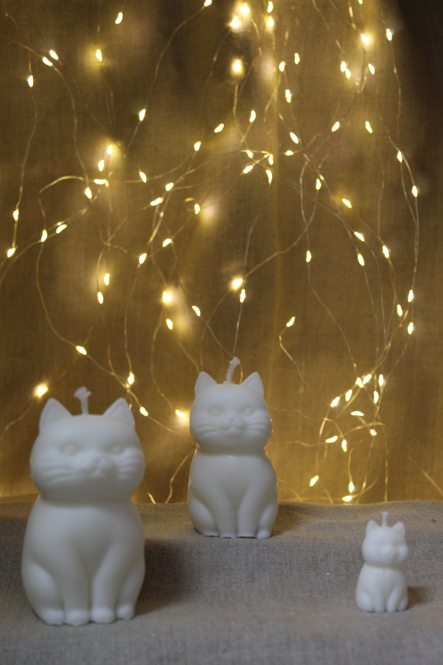 TRILOGIE DE CHATS