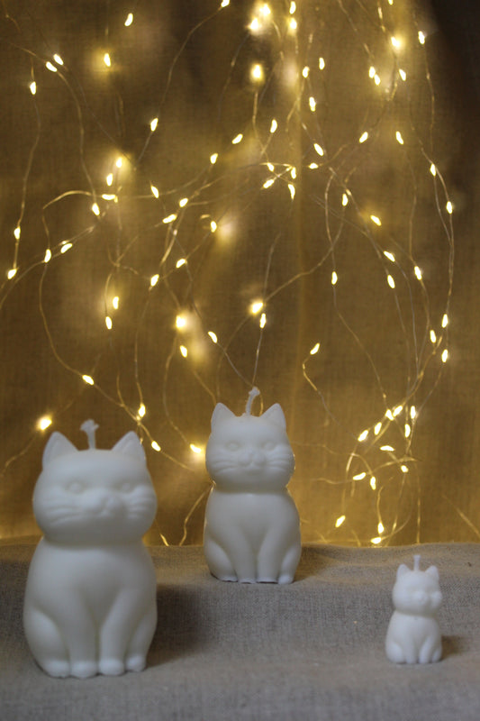 TRILOGIE DE CHATS